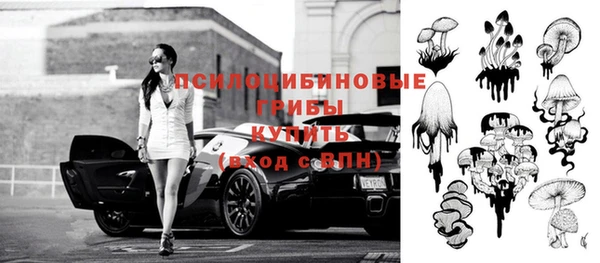 тгк Липки